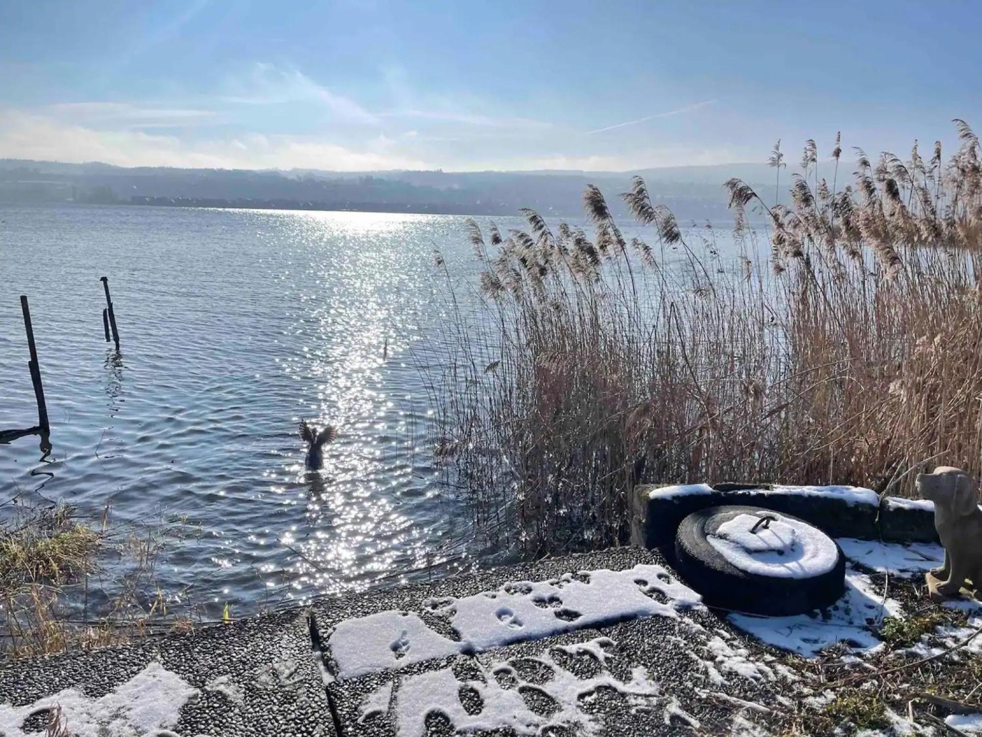 Seeluft Direkt Am Wasser ライヒェナウ エクステリア 写真
